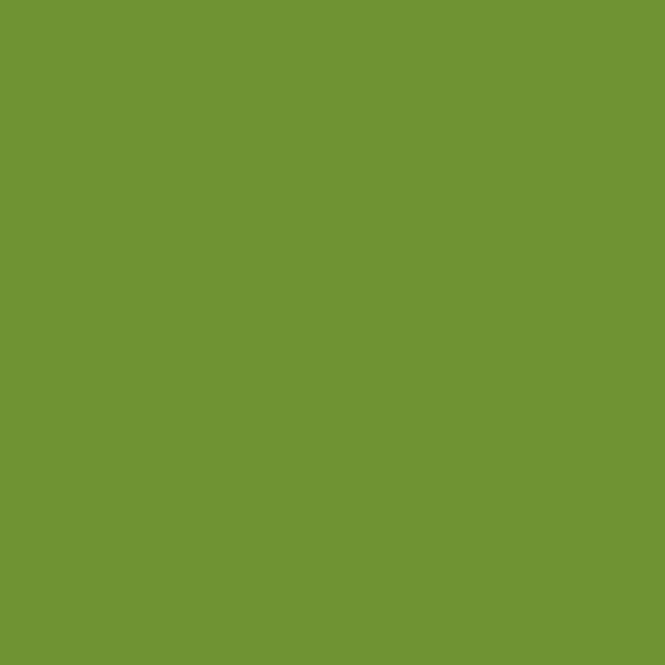 Hovedbilde Servietter, Unicolor Leaf Green, stor